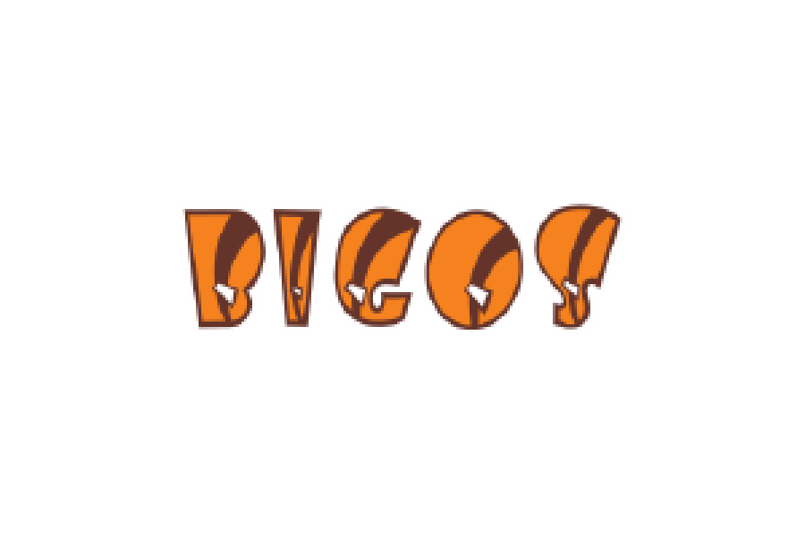 BIGOS en City Mall Tegucigalpa